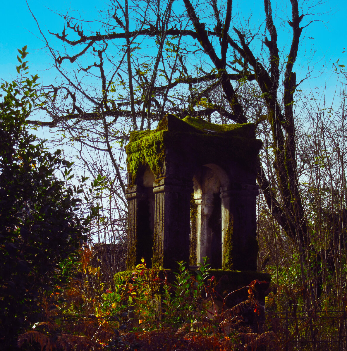 Все фото автора, если не указано иное.