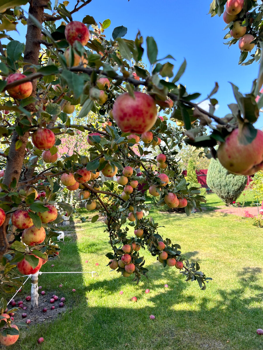 Личное фото автора. 24 сентября 