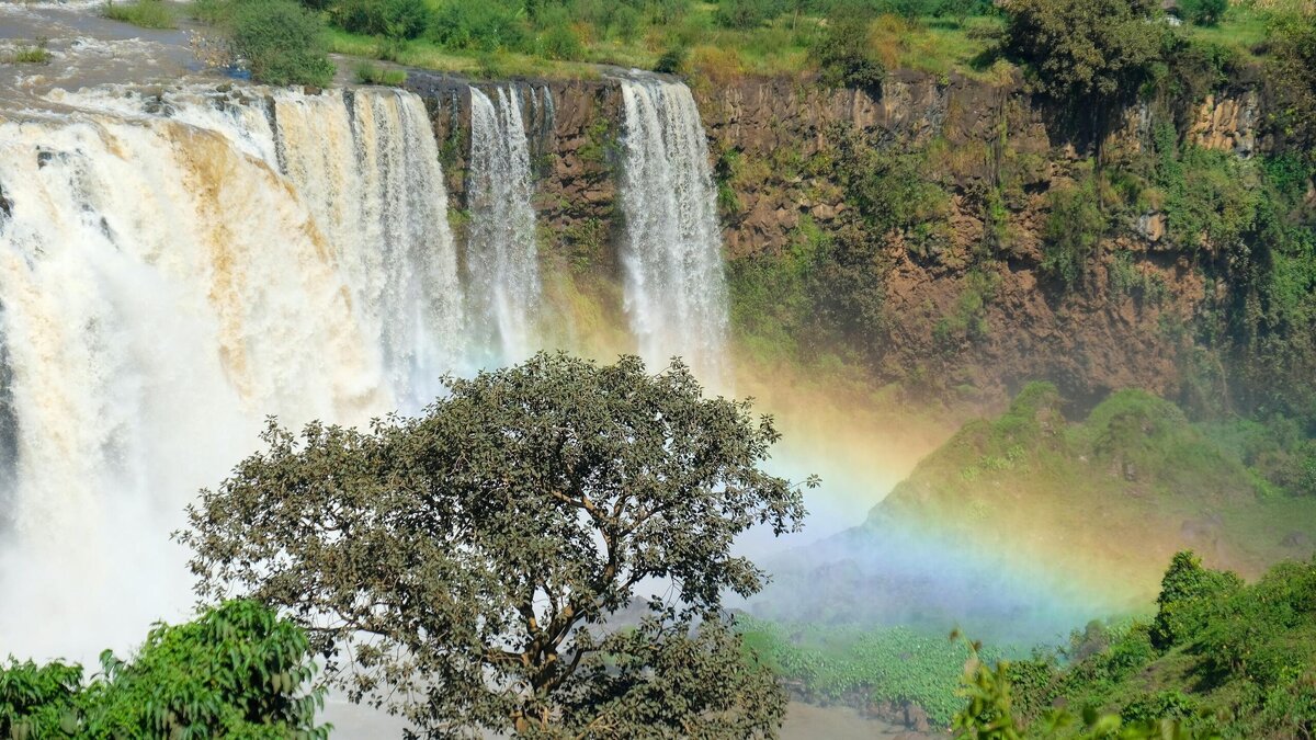    Не отходя от кассы: Эфиопия выдаст российским туристам визу по прибытии© Unsplash | Daniele Levis Pelusi