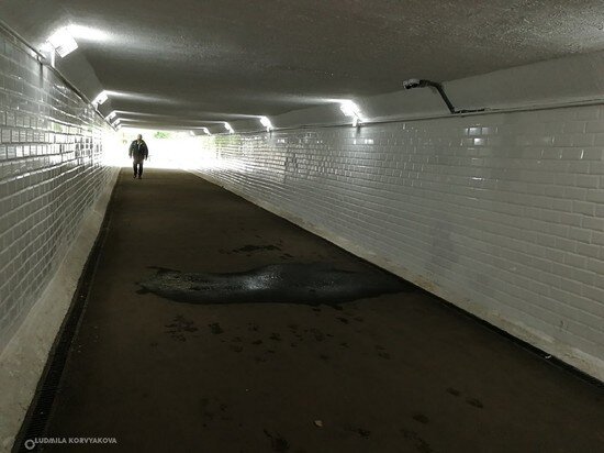    Потолок подземного перехода в Петрозаводске начал постепенно обваливаться Людмила Корвякова