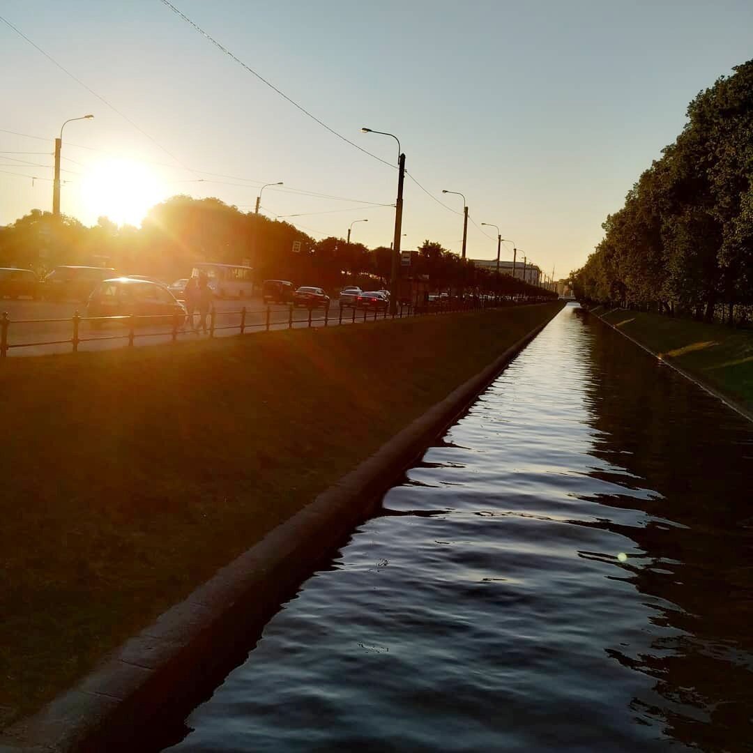 Звезда по имени Солнце (фото автора)