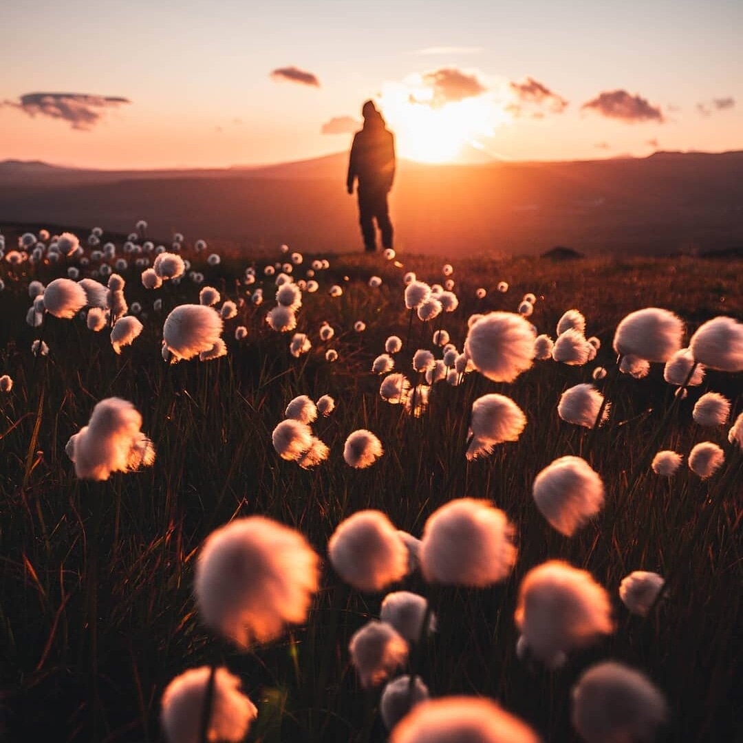 Изображение с Яндекс картинки