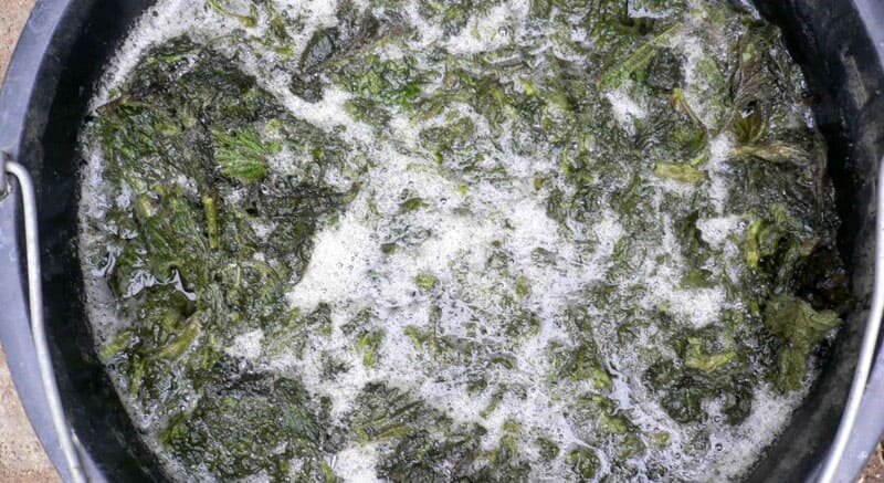 ФОТО: udobryashkin.ru
В ведре должен пройти процесс брожения