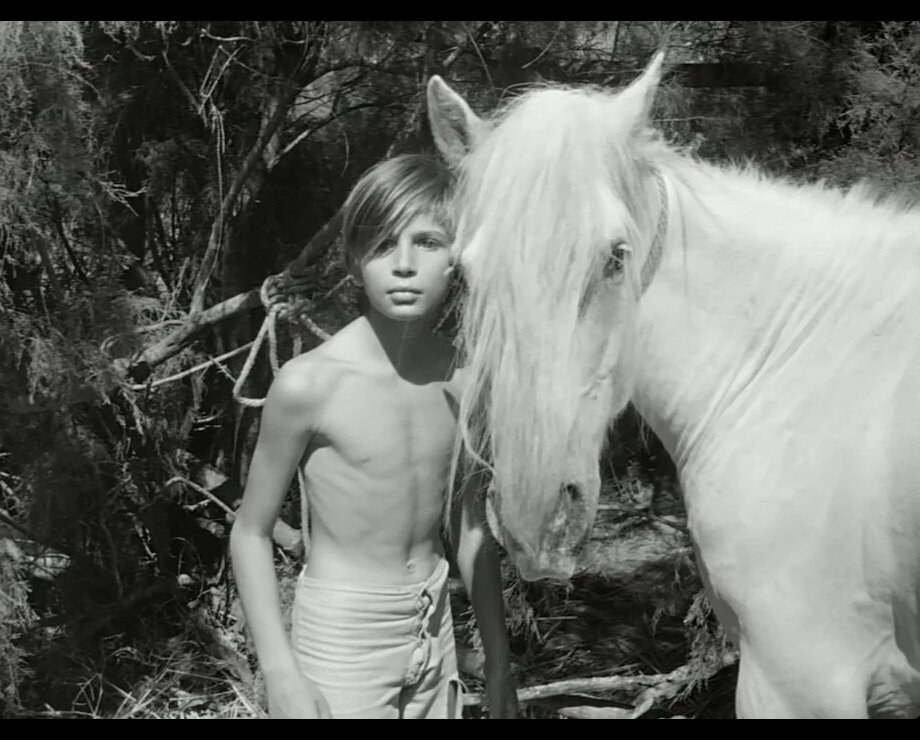 «Белая грива: Дикая лошадь» / «Crin blanc: Le cheval sauvage»  (реж. Альбер Ламорис, 1953, Франция): «…на юге Франции, где Рона впадает в море, живут стада диких лошадей; красивый и гордый конь Белогривый был вожаком; местные пастухи много раз пытались приручить Белогривого – всё было напрасно; лишь мальчик Фолько смог завоевать доверие Белогривого; пастухи не захотели оставить коня и мальчика в покое…». КиноПоиск: 7,9; IMDb: 7,3.