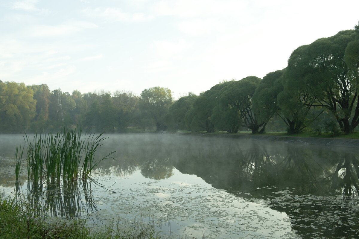 Фото: Мосприрода (Измайлово)