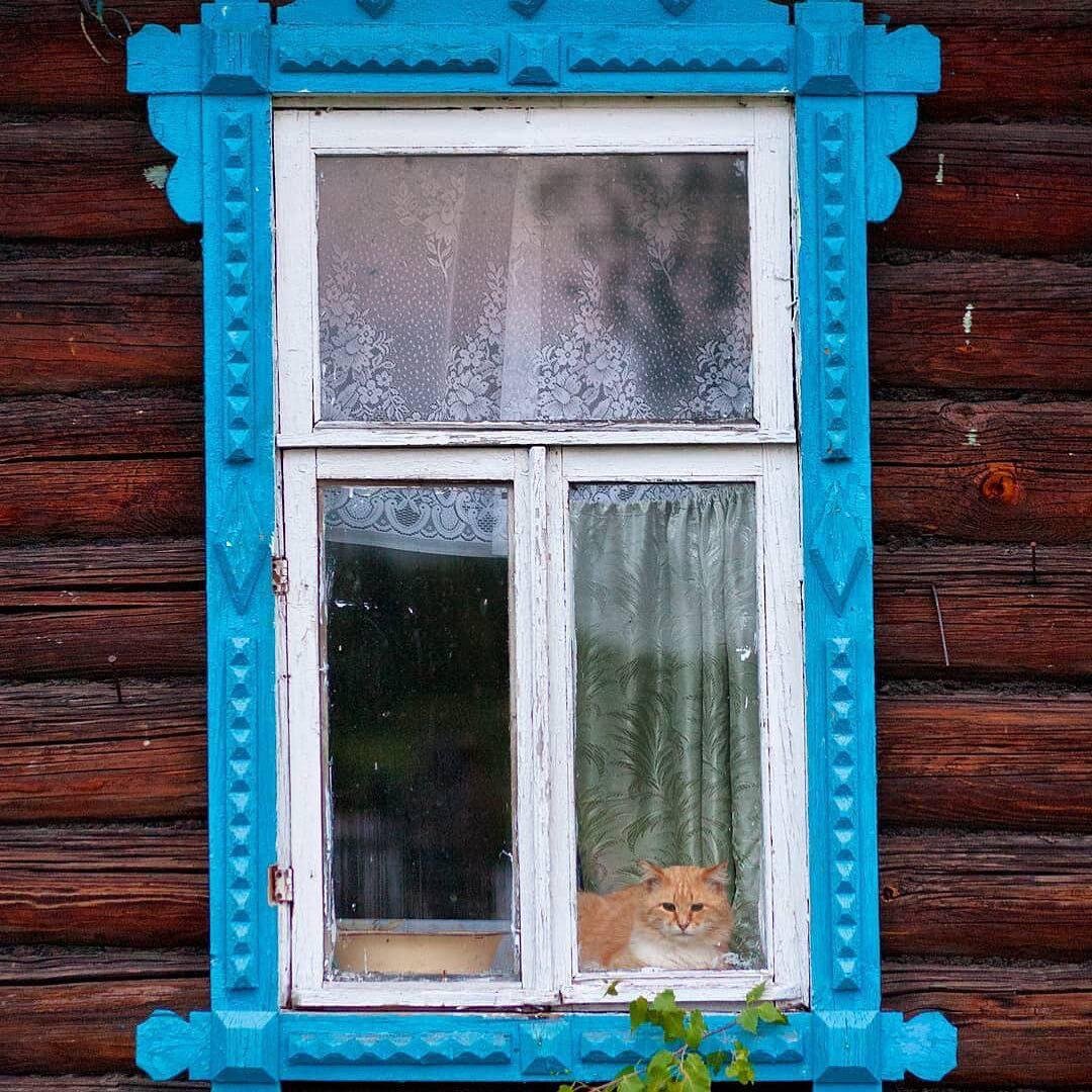 Приблизительно так выглядело наше окно с фрамугой сверху. Кошка тоже была, только дом - каменный. Яндекс картинки Denis Blisch в Твиттере: "Коты в оконных рамах 2. twitter.com