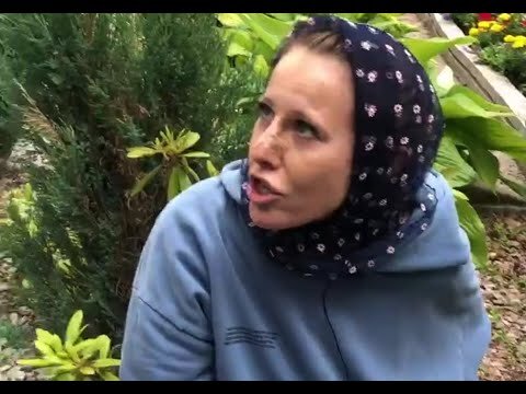 Скриншот с видео