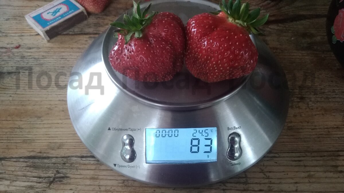 Нетрудно посчитать, что масса одной ягоды чуть больше 40г.