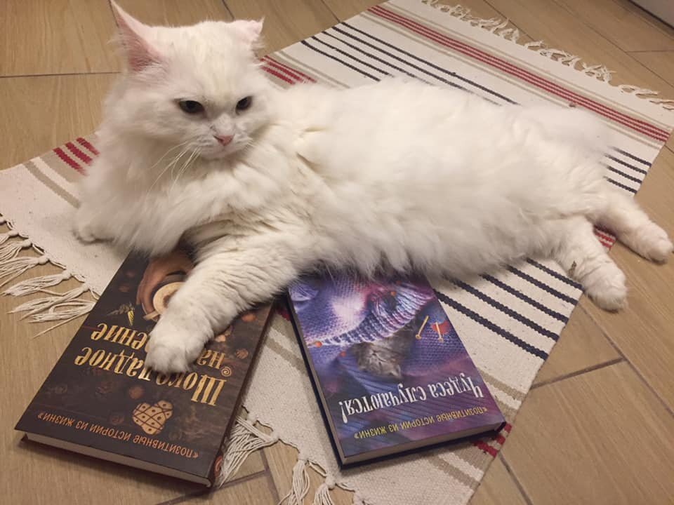 Лексус - кот Марины Королевой любит наши книги.  Под передней левой лапой как раз сборник Шоколадное настроение. 