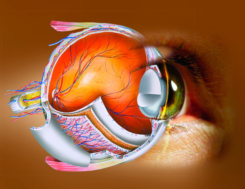 Фото из Яндекс Картинок