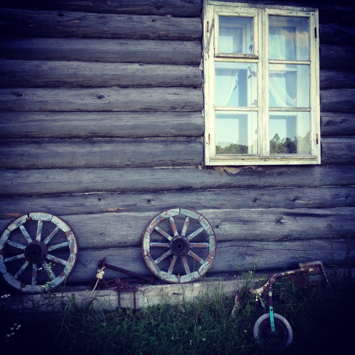 Фото с моего путешествия на о. Коневец. Два колеса раньше вот были частью одного механизма прямо как мы с мамой были частью одной психической амёбы.