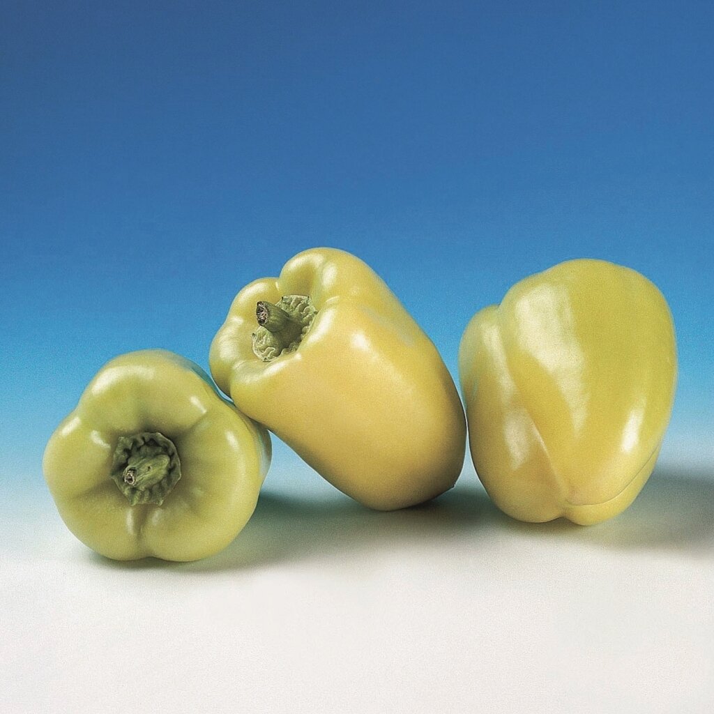 Перец болгарский Фламинго