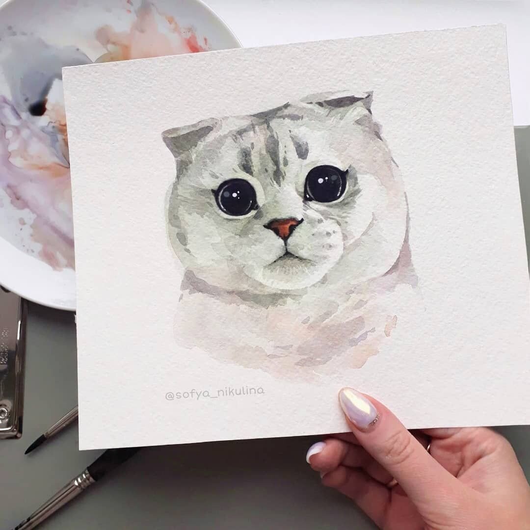 Картинка с сайта Софьи Никулиной www.picuki.com/profile/sofya_nikulina