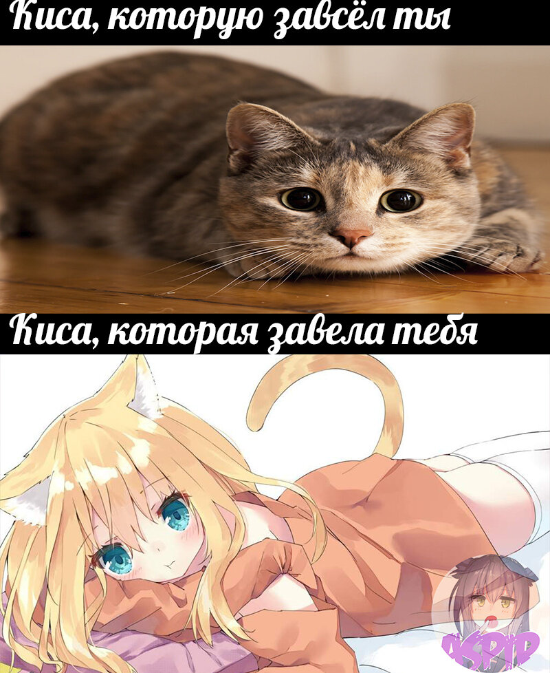 Да, да, именно заВСёл... сори)