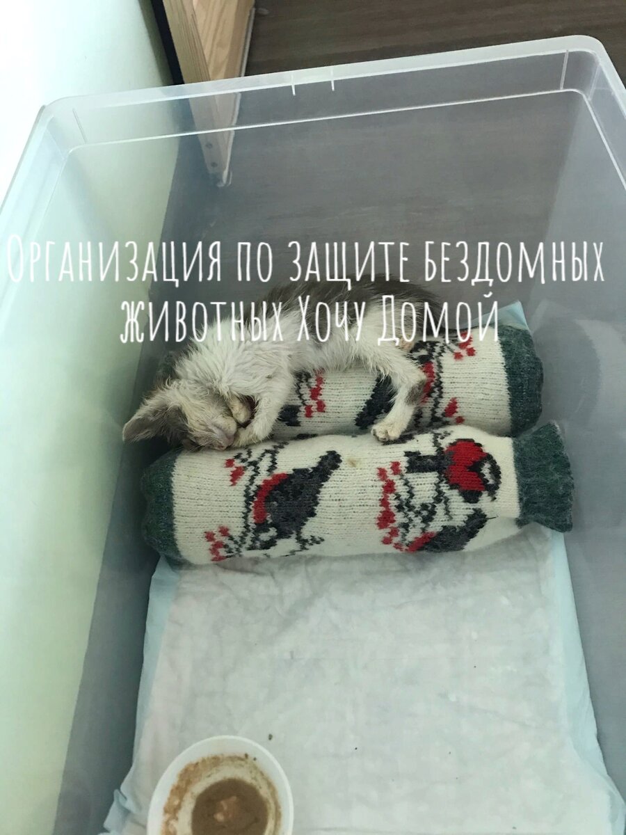 Спит малышка