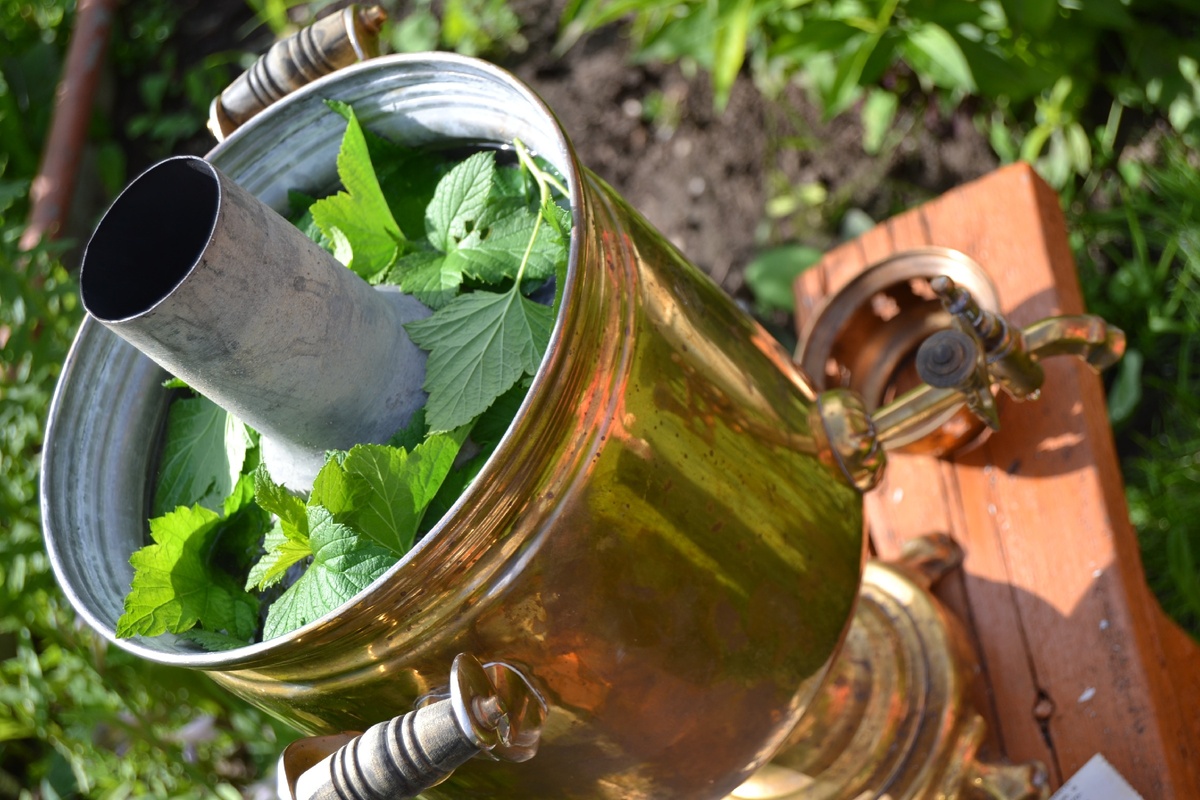 Самовар на дровах и смородина... Это даже лучше, чем отлично...