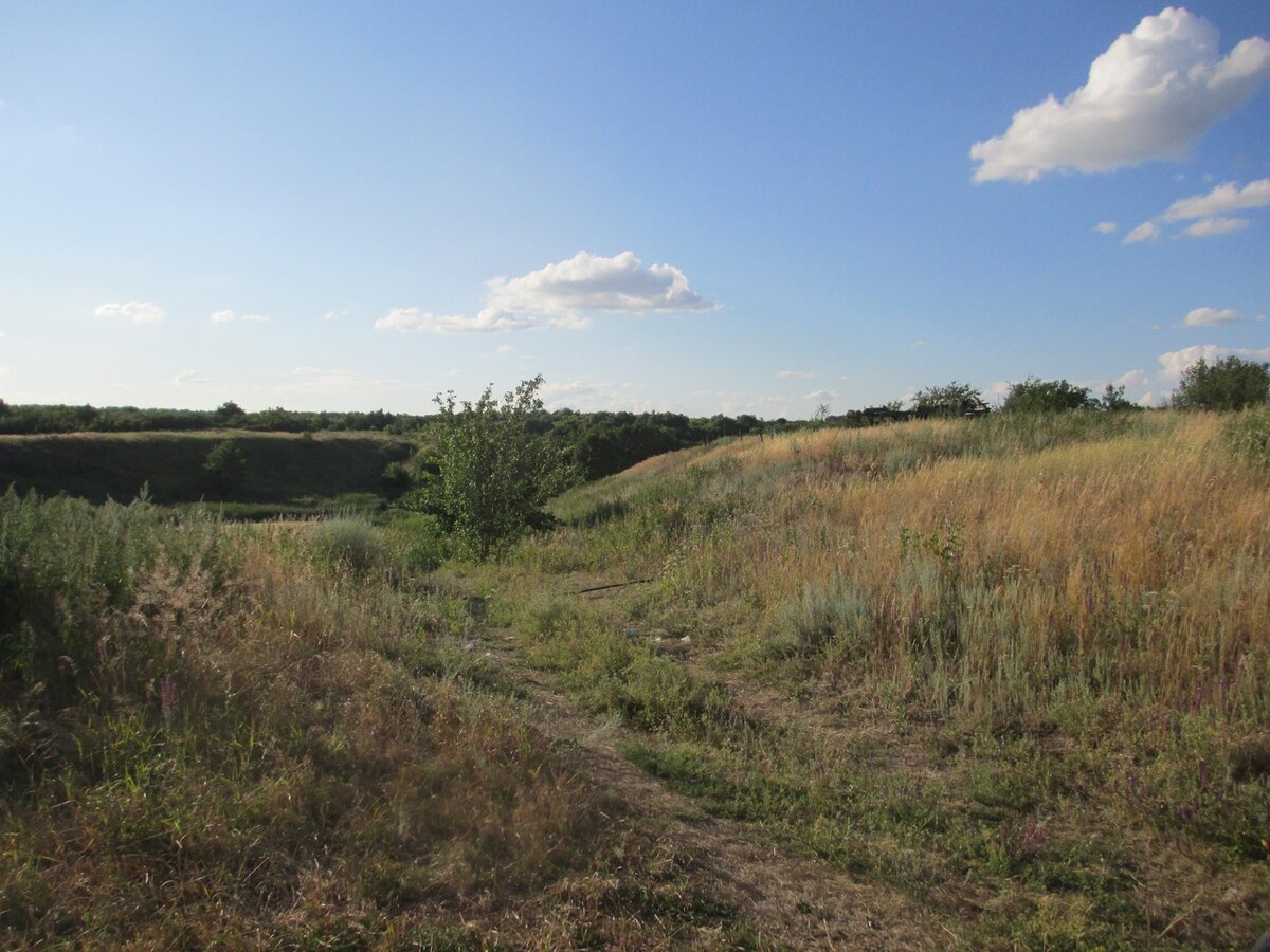 Погода екатериновский село вязовка. Вязовка Саратовская. Вязовка Татищевский район. Вязовка Саратовский район. Поселок Вязовка.