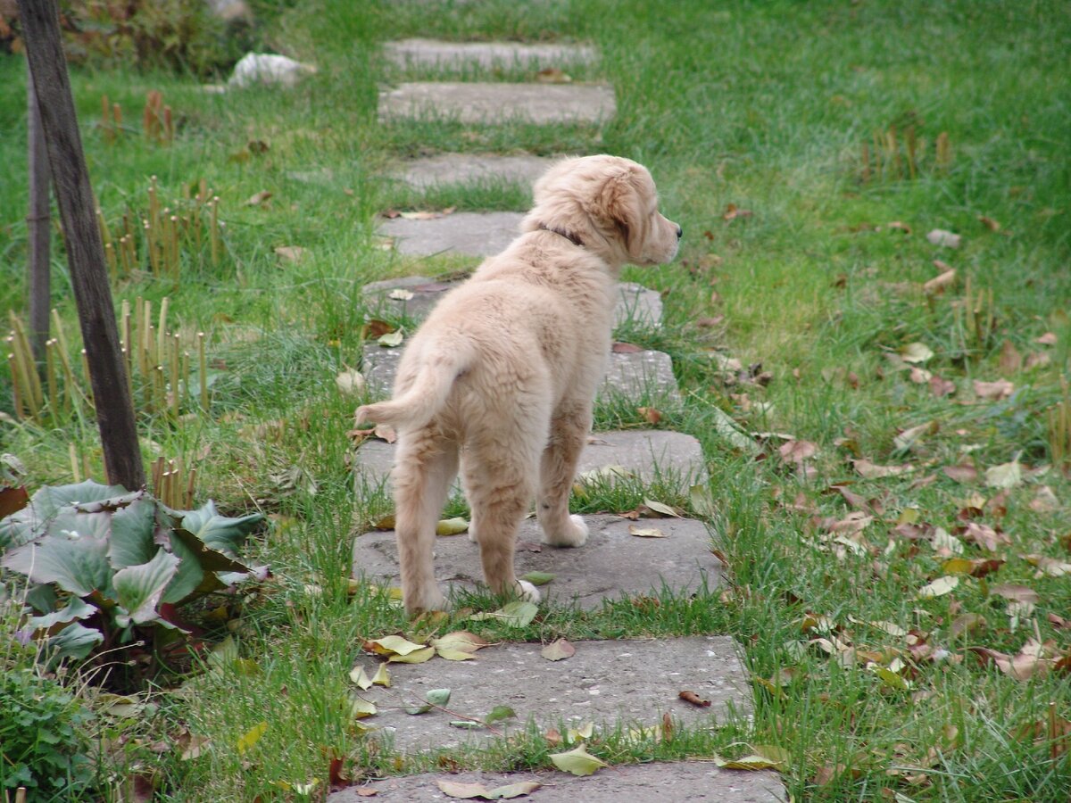 Мимишка наша