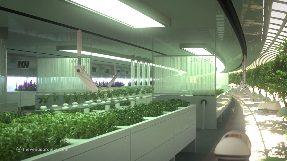 сельскохозяйственный сектор. Яндекс.Картинки