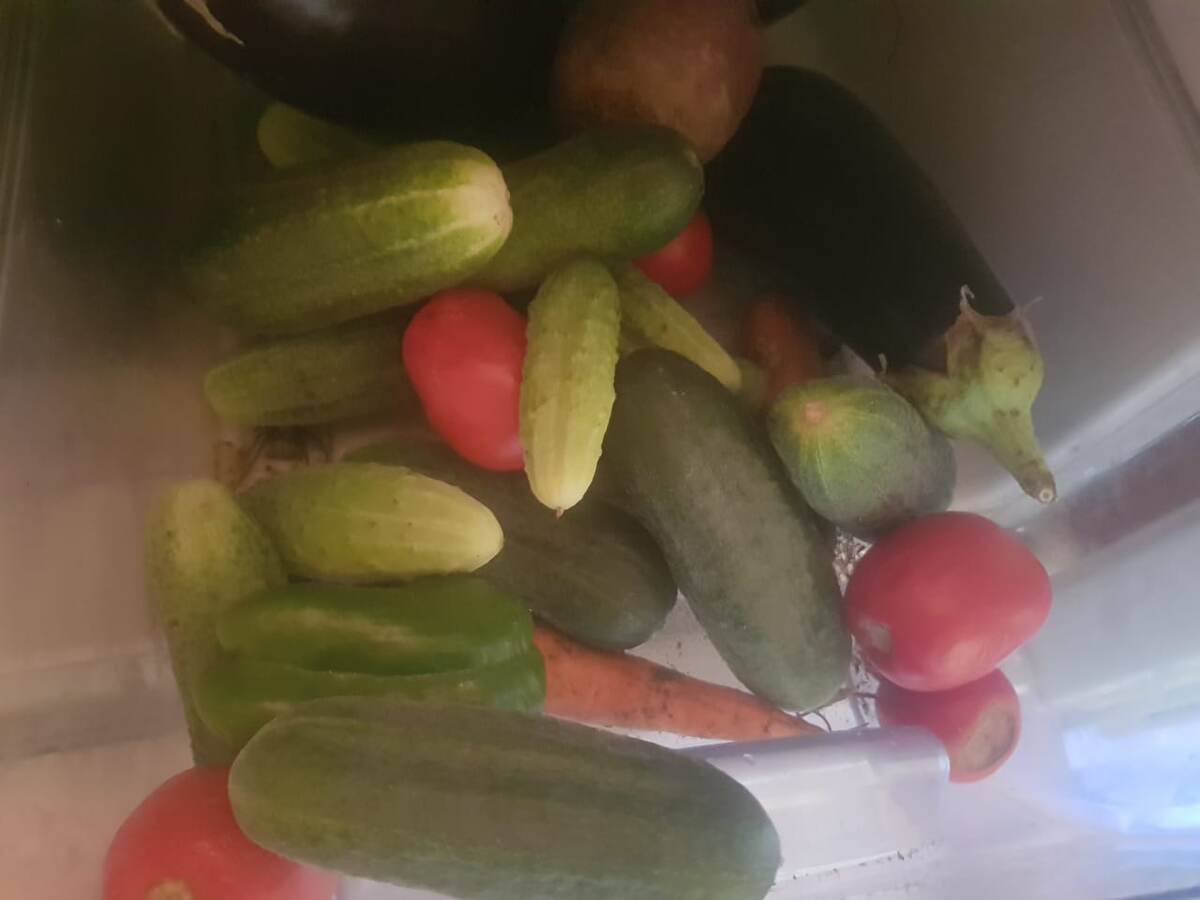 Помидоры пока покупные