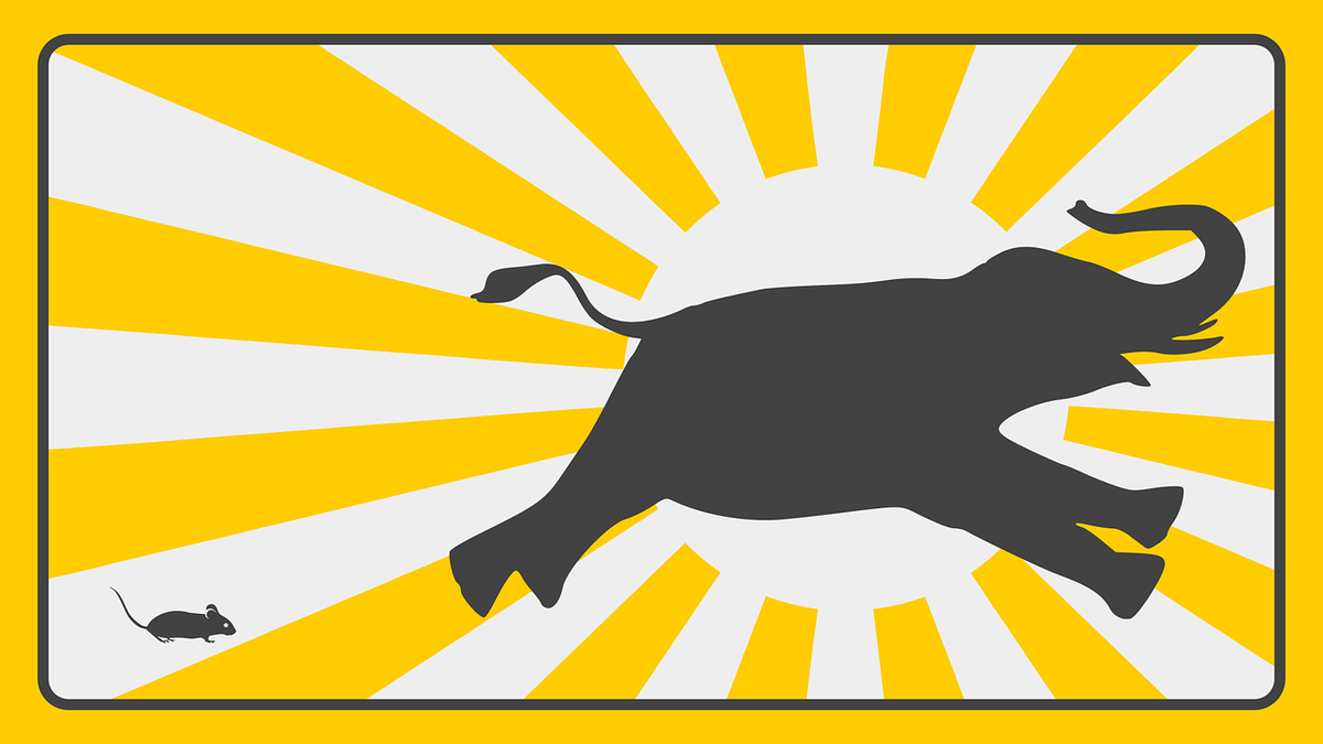 Фото с сайта pixabay