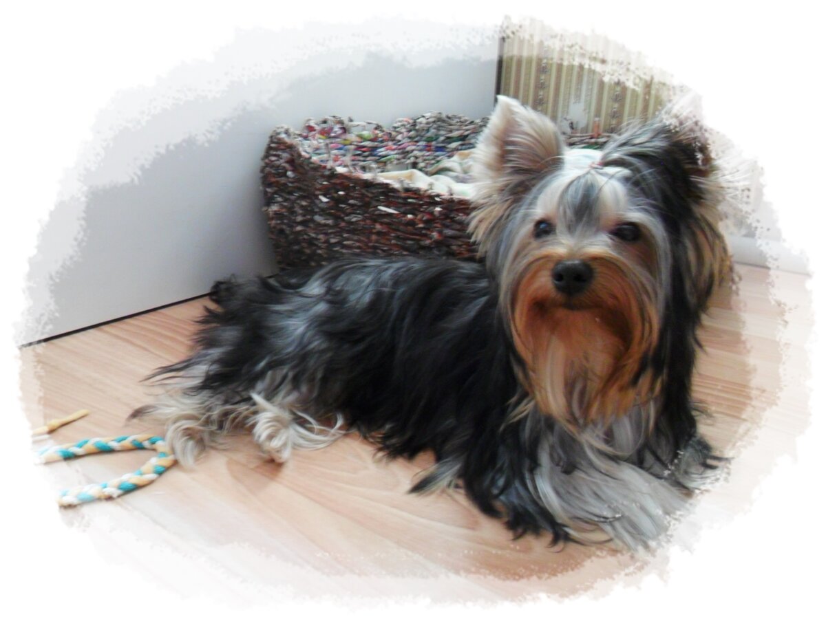 Здесь Бобу 6 месяцев