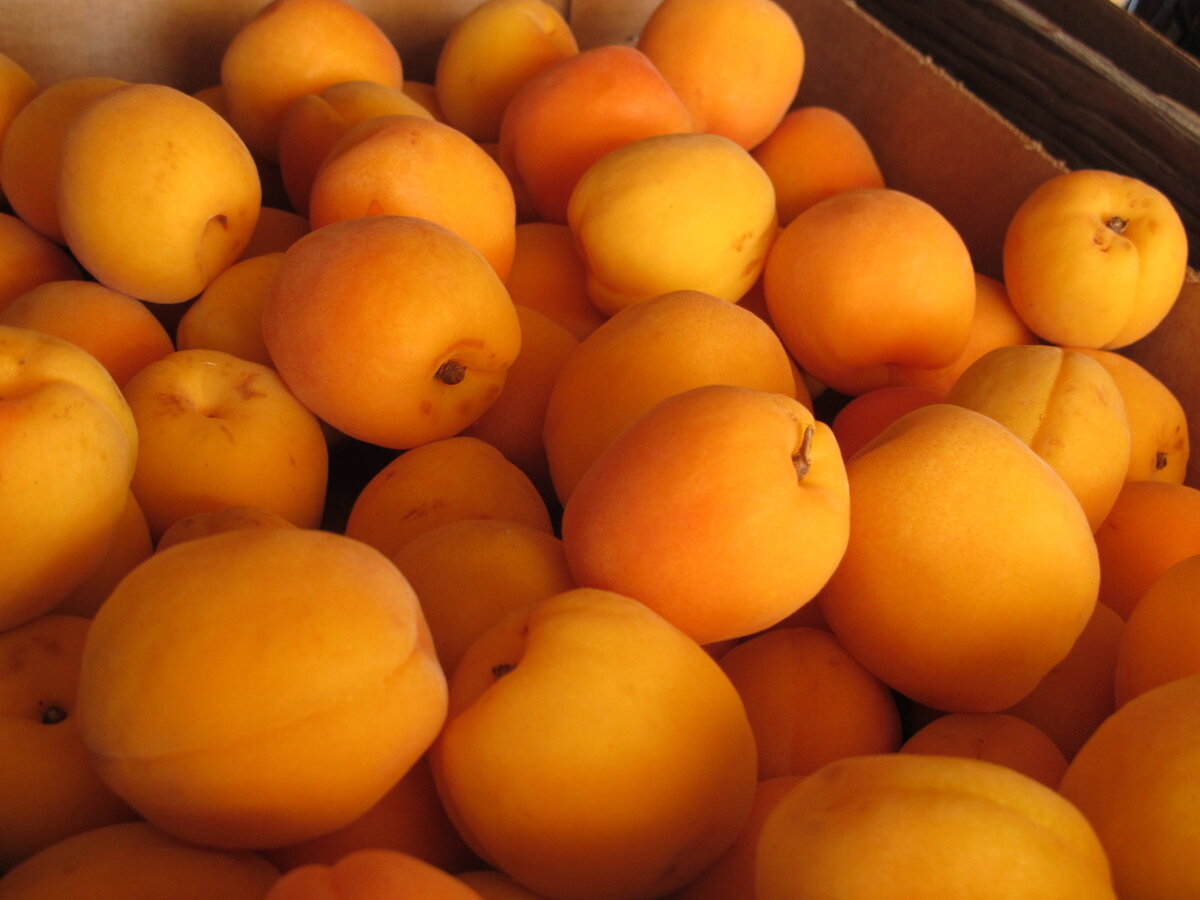 Сколько фруктов абрикос