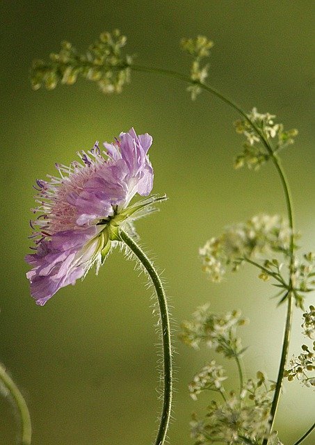 Pixabay License Бесплатно для коммерческого использования 
Указание авторства не требуется