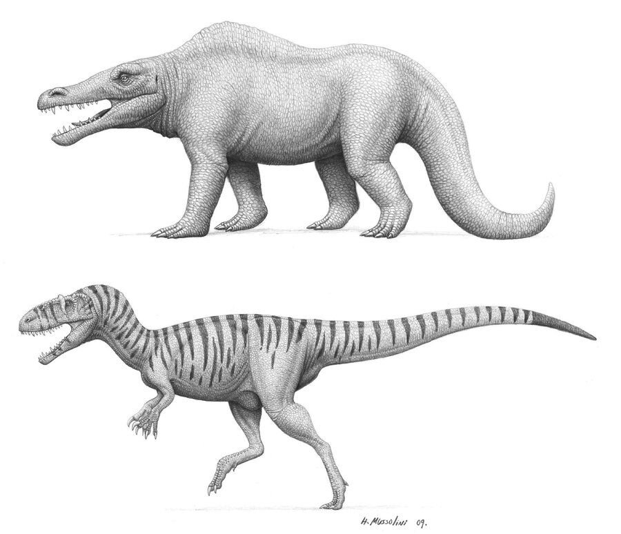 Иллюстрация демонстрирует, как развитие палеонтологии меняет научный взгляд на вымерших животных. Сверху реконструкция мегалозавра в середине XIX века. Снизу - современное видение. 