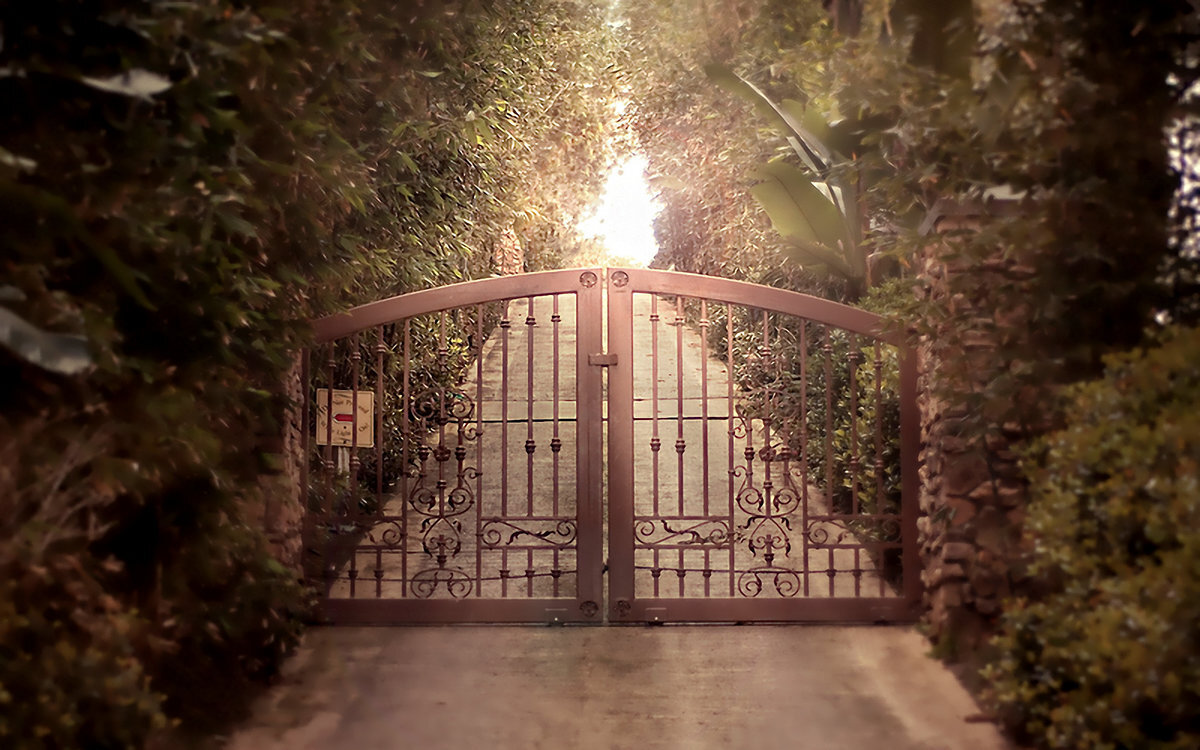 Картинка из открытых источников