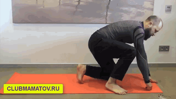 Зона предстательной железы (для мужчин)