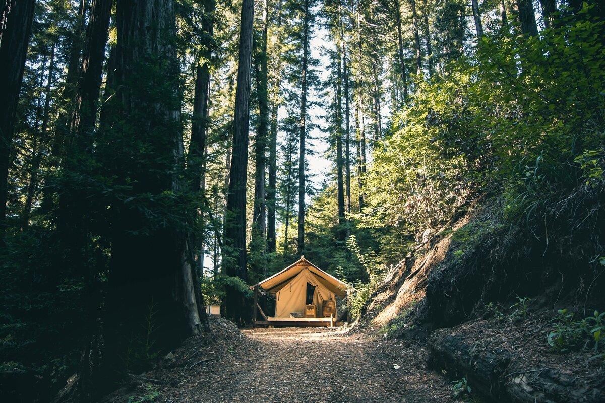 Photo by Jeremy Bishop on Unsplash