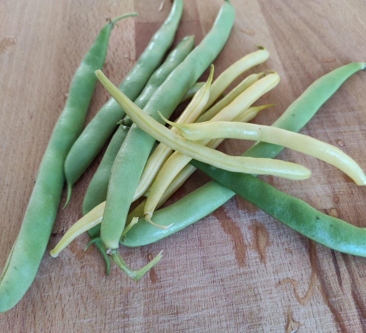 Фасоль - тоже минимально каллорийна