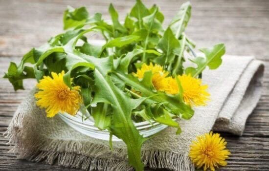 Настой из листьев одуванчика