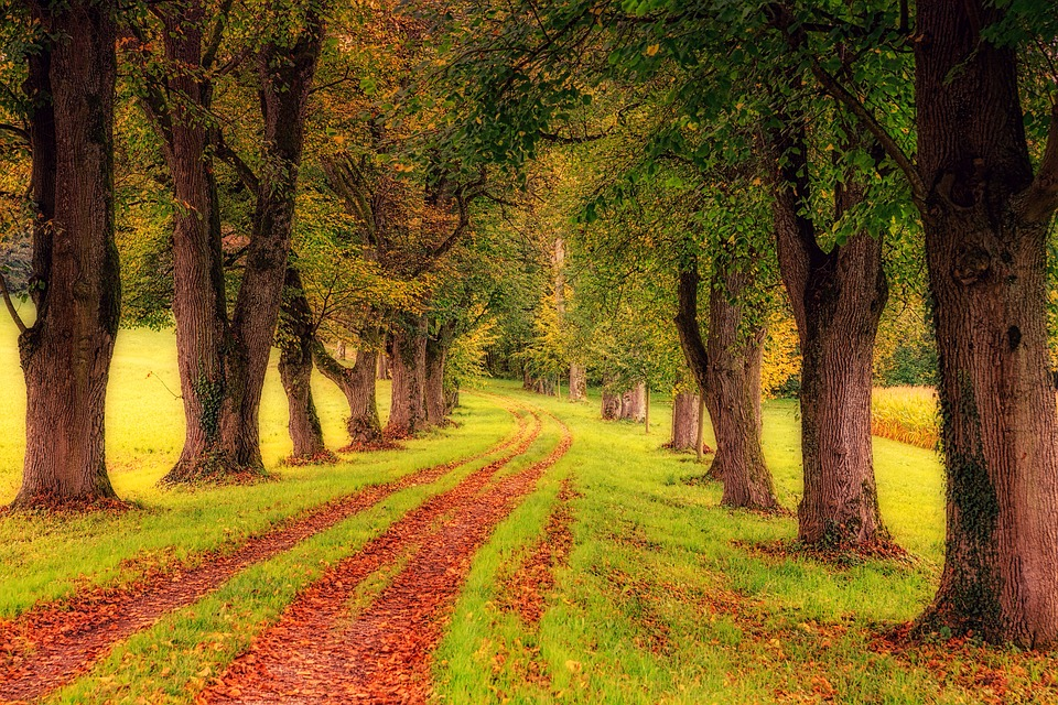 https://pixabay.com/