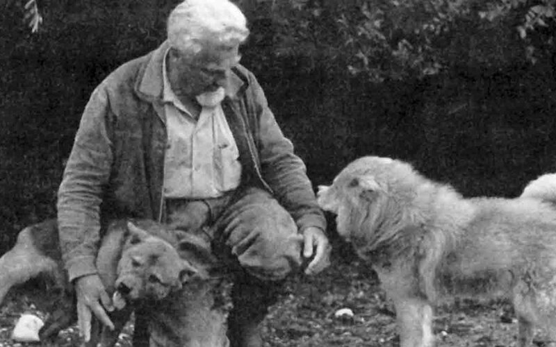 Зоолог Конрад Лоренц стоял у истоков идеи доминирования. Фото pinterest.com