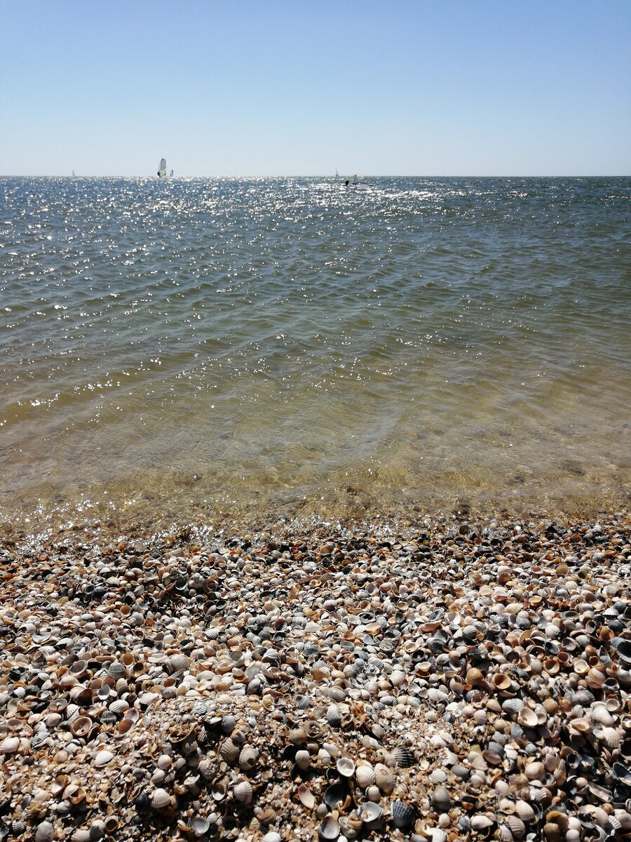 Ракушечные пляжи Должанскоц