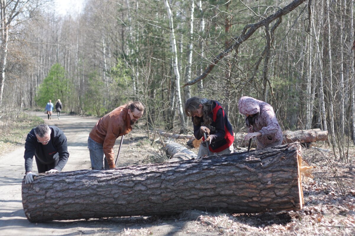 Субботник на кладбище. 