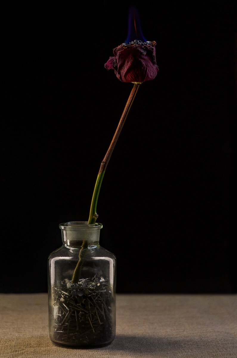 Nikon D7000+Гелиос-44М