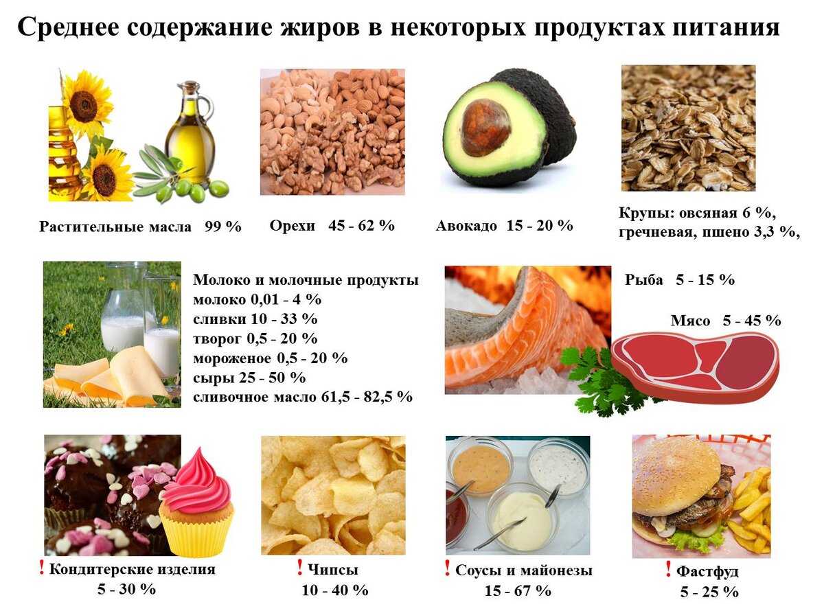 Сколько жира в растительном масле. Таблица белки жиры углеводы какие продукты относятся. В каких продуктах содержатся белки жиры и углеводы. Схема питания белки жиры углеводы. Жиры белки углеводы клетчатка в продуктах таблица.