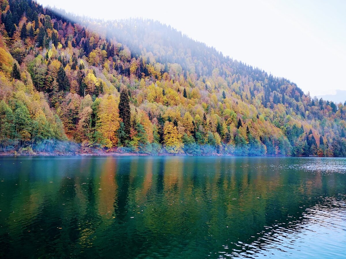 Озеро Рица осенью