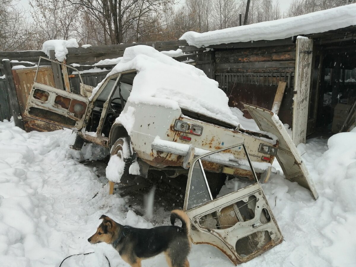Собакен контролирует процесс...