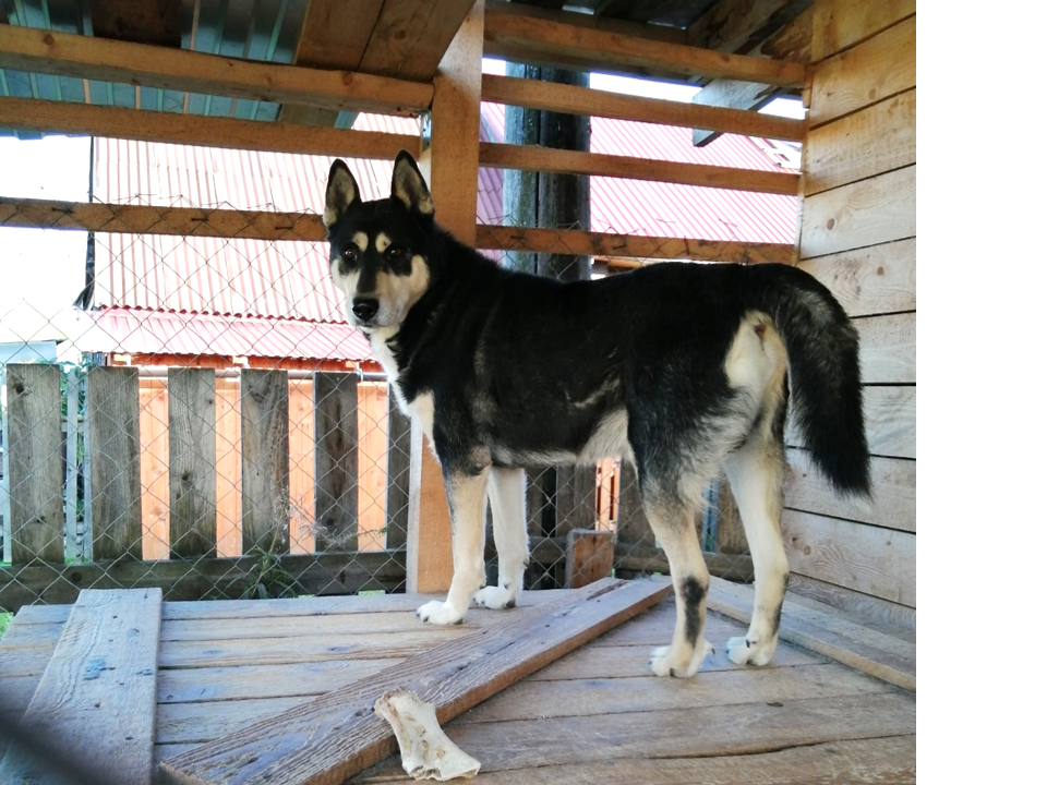 Амур. Сентябрьское фото