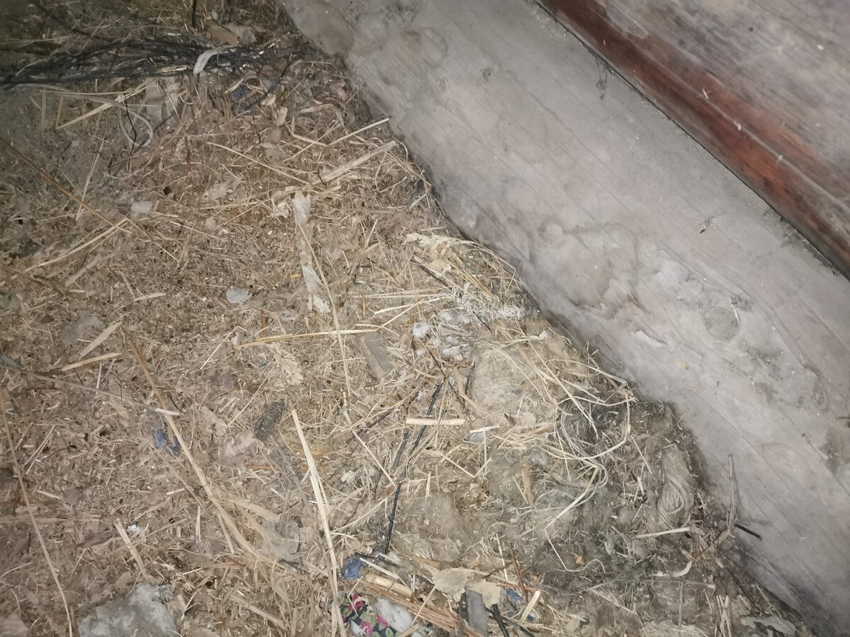 Старинный дедовский утеплитель чердака оказался эффективнее современных ...