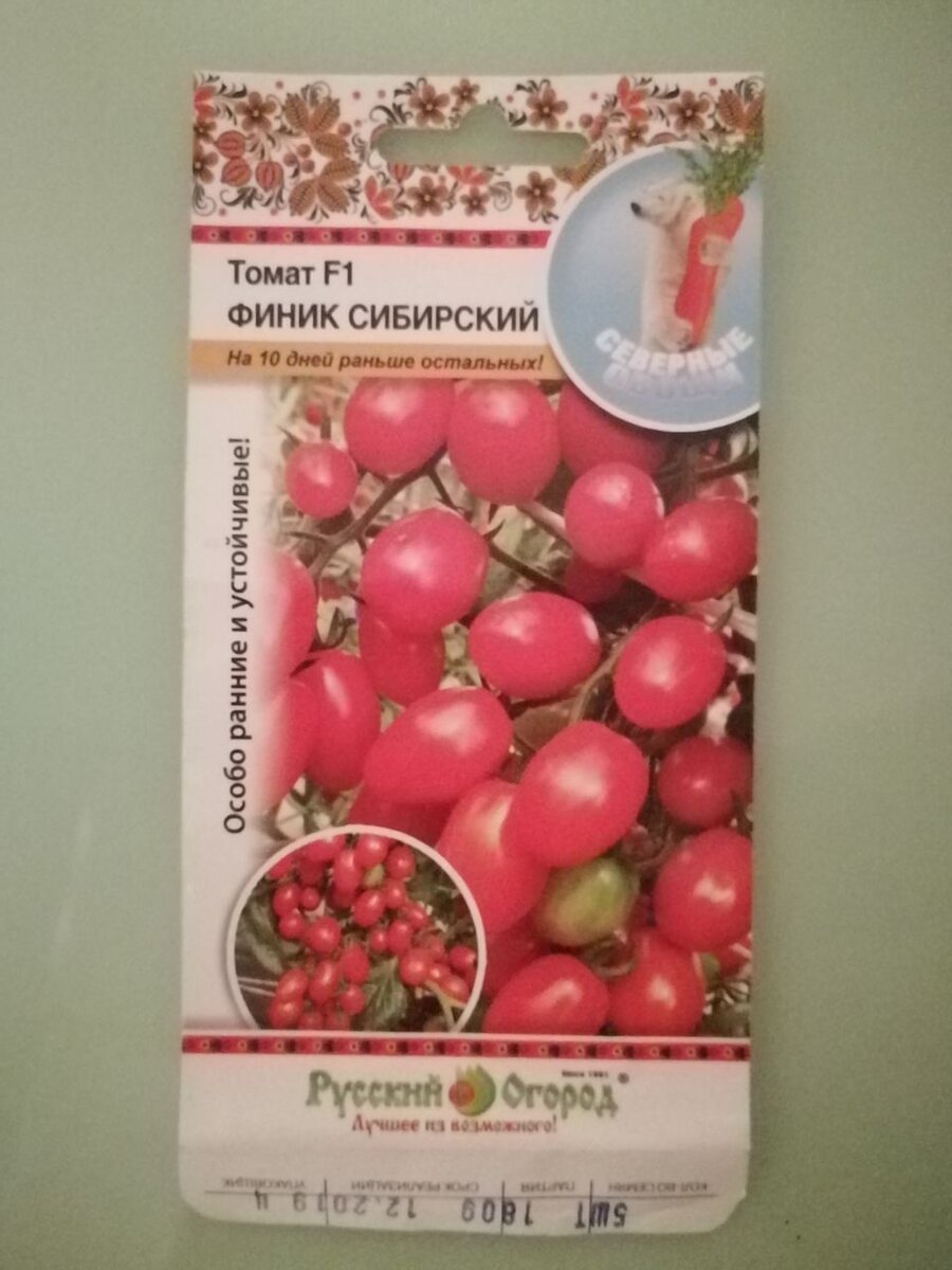 Низкорослые томаты для открытого грунта: 9 сортов, сама вырастила ...