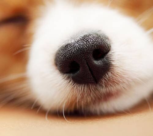 Прогулки и физическая активность