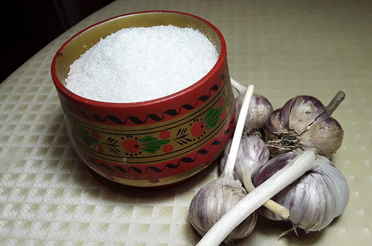 Как сохранить чеснок?