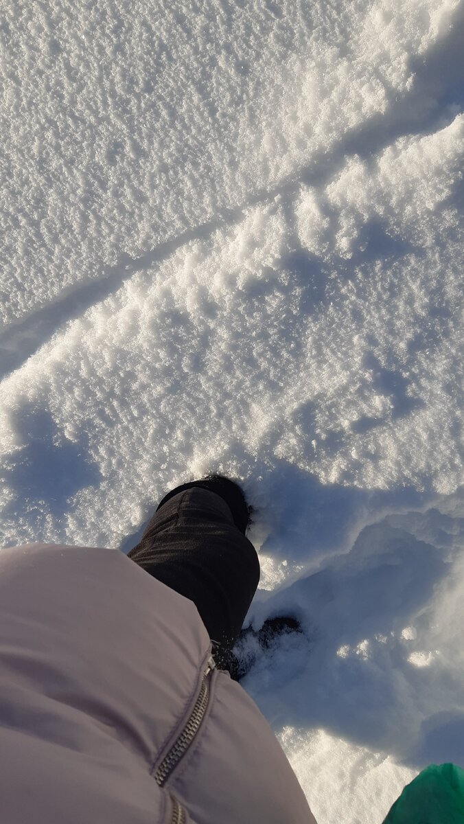 17.01.2021..мороз и солнце день чудесный?..всего -20..небольшая фотосессия?..и едем на дачу?....