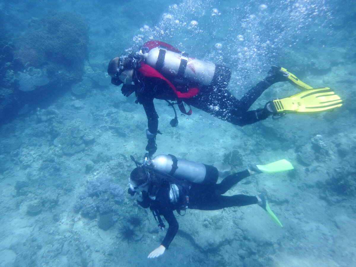 Источник: yandex.ru