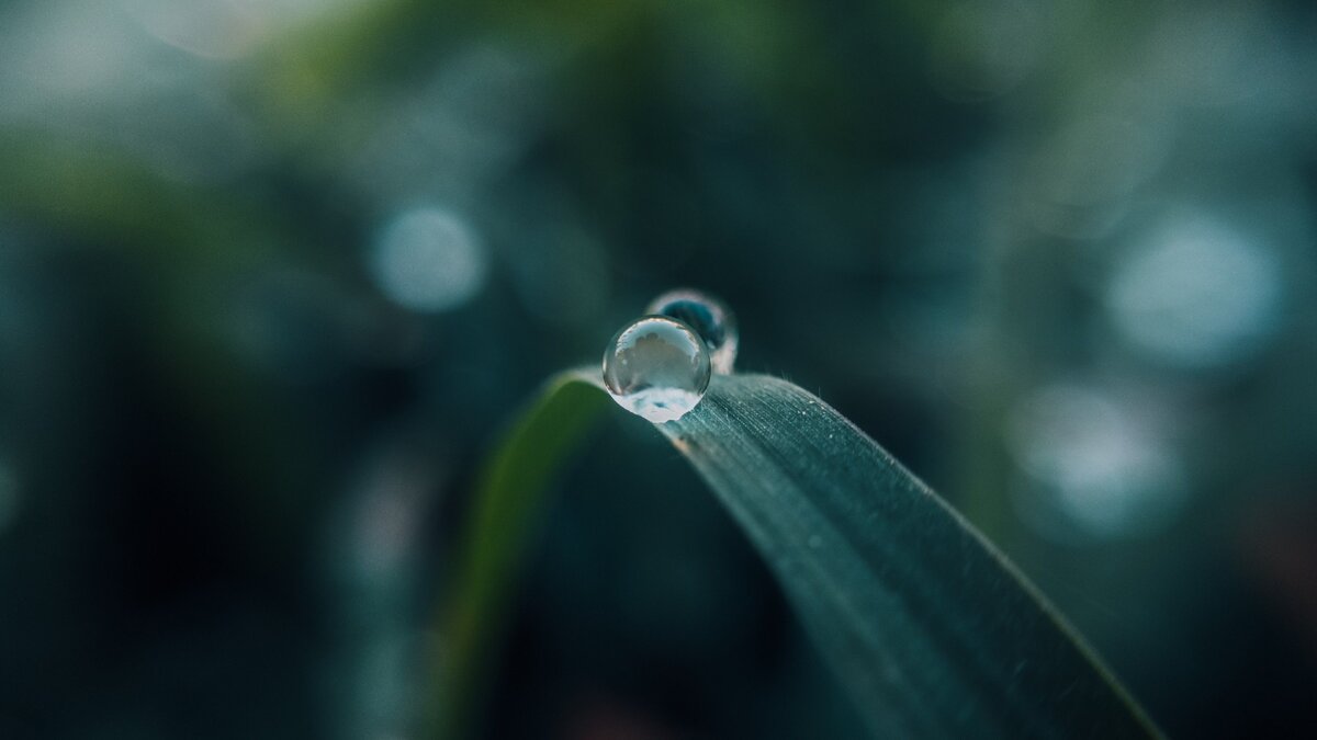 Источник: wallpaperaccess.com